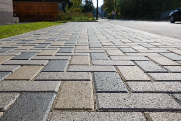 Best Professional Driveway Pavers  in Raynham Center, MA